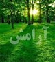 آرامش داری یا آسایش؟
