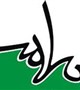 ارتباط سلامت معنوي با ديگر ابعاد سلامت: